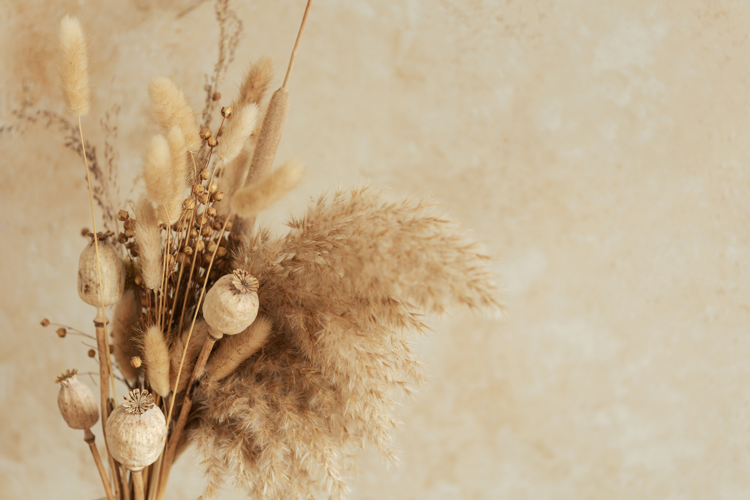 Bouquet of Beautiful Beige Dried Flowers on Beige Background.